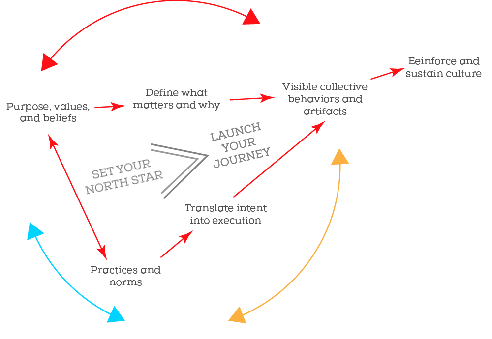 grafico organizaional transformatión